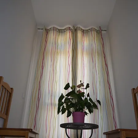 Guest house Rasil